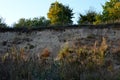 Forgotten quarry for brick clay and clays. The excavated ground profile provides shelter for birds loving to nest on the cliff and