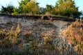 Forgotten quarry for brick clay and clays. The excavated ground profile provides shelter for birds loving to nest on the cliff and