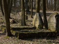 Forgotten, very old graves in the forest.