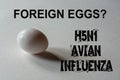 Foriegn Eggs? H5N1 Avian Influenza Royalty Free Stock Photo