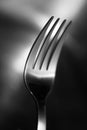 Fork Royalty Free Stock Photo