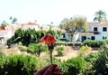 Fork with appetizing Spanish jamon against of Spanish landscape, palm trees, white houses, blue sky,