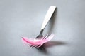 Fork with a bird feater Royalty Free Stock Photo