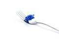 Fork with blue lavender Royalty Free Stock Photo