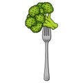 Broccoli on a fork isolated on white background illustration Royalty Free Stock Photo