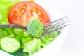 Fork,broccoli,lettuce, tomato, cucumber and pepper in a bowl