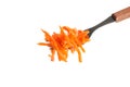 Fork with carrot salad isolated on background Royalty Free Stock Photo