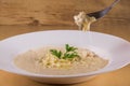 Fork with cheese risotto. Italian cuisine