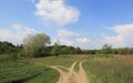 Fork dirt roads in steppe Royalty Free Stock Photo