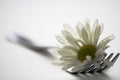 Fork and flower