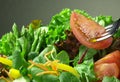 Fork with fresh salad Royalty Free Stock Photo