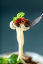 Fork full of Italian spaghetti Royalty Free Stock Photo