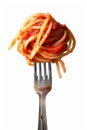 a fork full of spaghetti with red sauce on white background Royalty Free Stock Photo