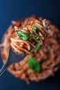 Fork full of twirled italian spaghetti with a bolognese meat sauce and basil over a plate of pasta with tomato sauce Royalty Free Stock Photo