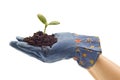 Fork Gardening Glove Holding Baby Plant