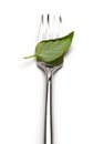 Fork with green leaf on white. Vegan concept Royalty Free Stock Photo