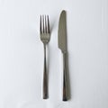 The fork has a sleek, polished finish with four evenly spaced Royalty Free Stock Photo