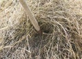 fork in the haystack haystack on the farm