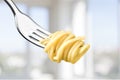 Fork with just spaghetti around it on background Royalty Free Stock Photo