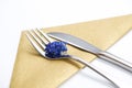 Fork and knife Royalty Free Stock Photo
