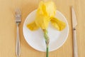 Fork, knife, yellow iris and a plate