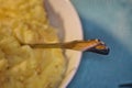 Fork in a mashed potatoes plate Royalty Free Stock Photo