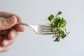 Fork with microgreens held against plain white background, emphasizing simplicity. Royalty Free Stock Photo