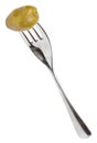 Fork with one green olive isolated on white Royalty Free Stock Photo