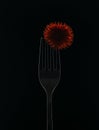 Fork. ORANGE. BLACK