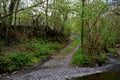 A fork in the pathway in a woodland area, by a stream with lots of green grass and shrubs an trees Royalty Free Stock Photo