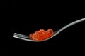 The fork with red caviar Royalty Free Stock Photo