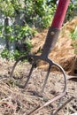 Fork with red handle for composting, recycling lawn and garden waste. Forks stuck in compost. Making and mixing compost in the Royalty Free Stock Photo