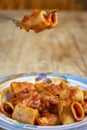 fork with rigatoni pasta with tomato sauce Royalty Free Stock Photo