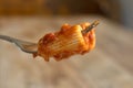 fork with rigatoni pasta with tomato sauce Royalty Free Stock Photo