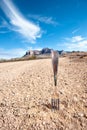 Fork in the road Royalty Free Stock Photo