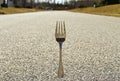 Fork in the Road (Concept) Royalty Free Stock Photo