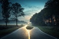 Fork in the Road, Dark and Light Paths, Symbolic Choice, Decision Making Concept - generated by ai Royalty Free Stock Photo
