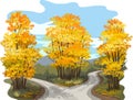 Fork in the road through a forest of autumn trees. Royalty Free Stock Photo