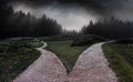 fork in the road in forest at storm weather at night, concept of insecurity of future Royalty Free Stock Photo