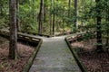 Fork in the road for major decision on wooden boardwalk in forest Royalty Free Stock Photo