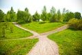 Fork in the road in the park and dandelions