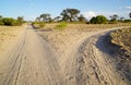 A fork in the road in a savannah landscape Royalty Free Stock Photo
