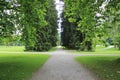 Fork in the road surrounded with lush trees and grass