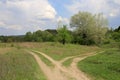 Fork roads in steppe Royalty Free Stock Photo