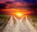 Fork roads in steppe on sunset sky background Royalty Free Stock Photo
