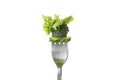 Fork with salad, cucumber and broccoli isolated on white background Royalty Free Stock Photo