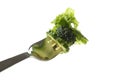 Fork with salad, cucumber and broccoli isolated on white background Royalty Free Stock Photo