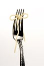 Fork with Spaghetti tied Bow