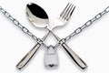 Fork and spoon armored chain and padlock