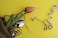 Fork, spoon and flower with a measuring tape and yellow background, diet or healthy eating concept. Soft focus at the middle Royalty Free Stock Photo